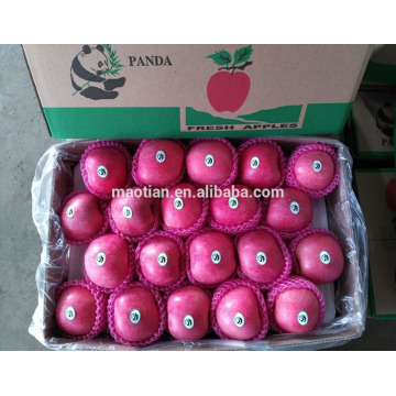 Vendez miel croustillant frais Fuji Apple- Blush